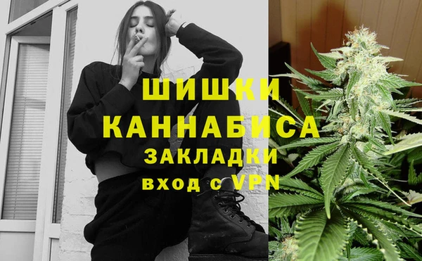 соль ск Алзамай