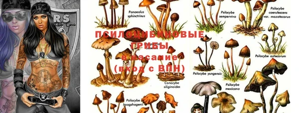 трава Нязепетровск