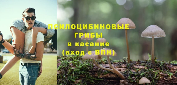 соль ск Алзамай