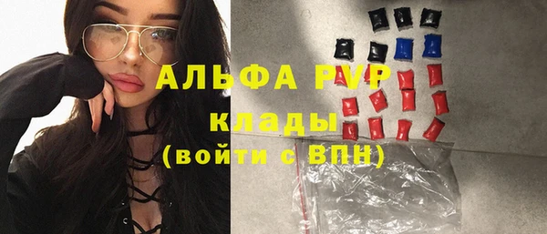 спайс Няндома