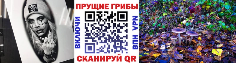 Псилоцибиновые грибы мицелий OMG как войти Миньяр купить закладку